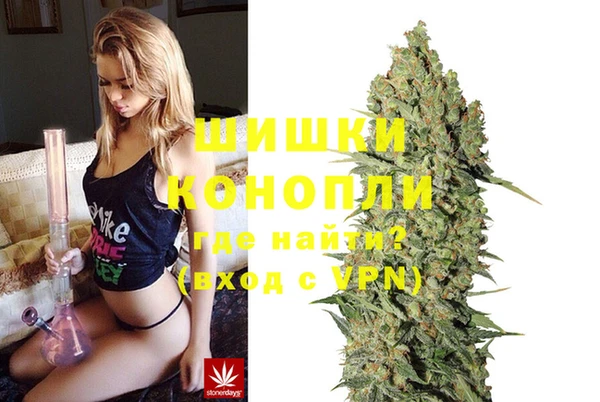 прущие грибы Бородино