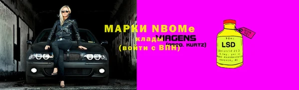прущие грибы Бородино