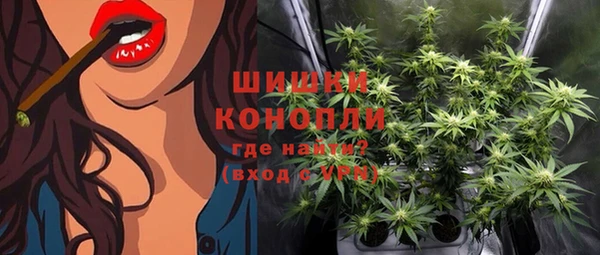 бошки Бронницы
