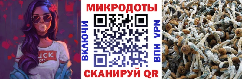 Псилоцибиновые грибы GOLDEN TEACHER  Кубинка 