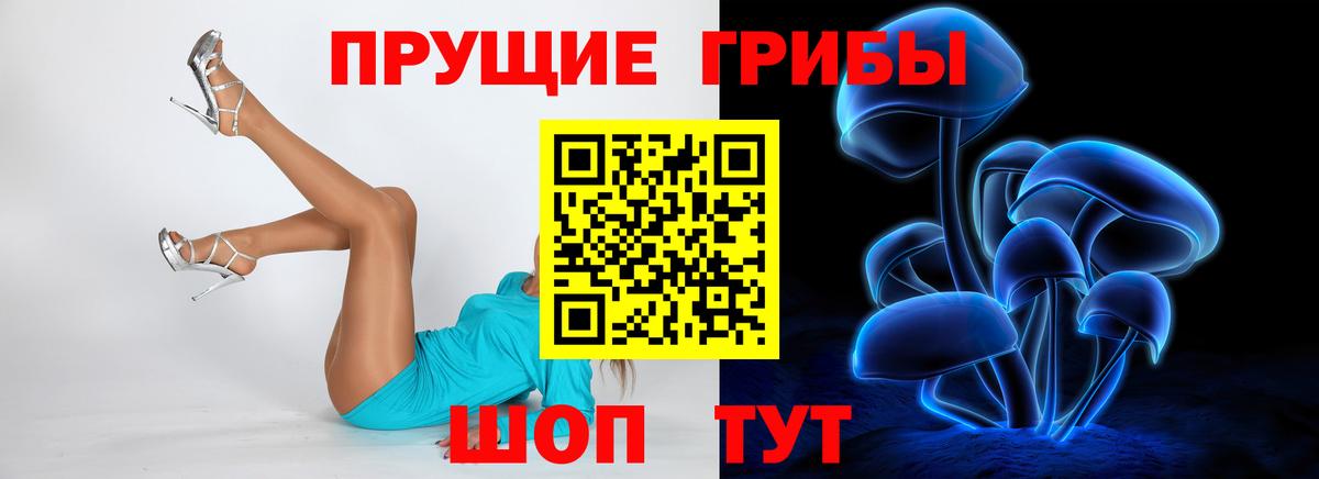 Галлюциногенные грибы GOLDEN TEACHER Кубинка